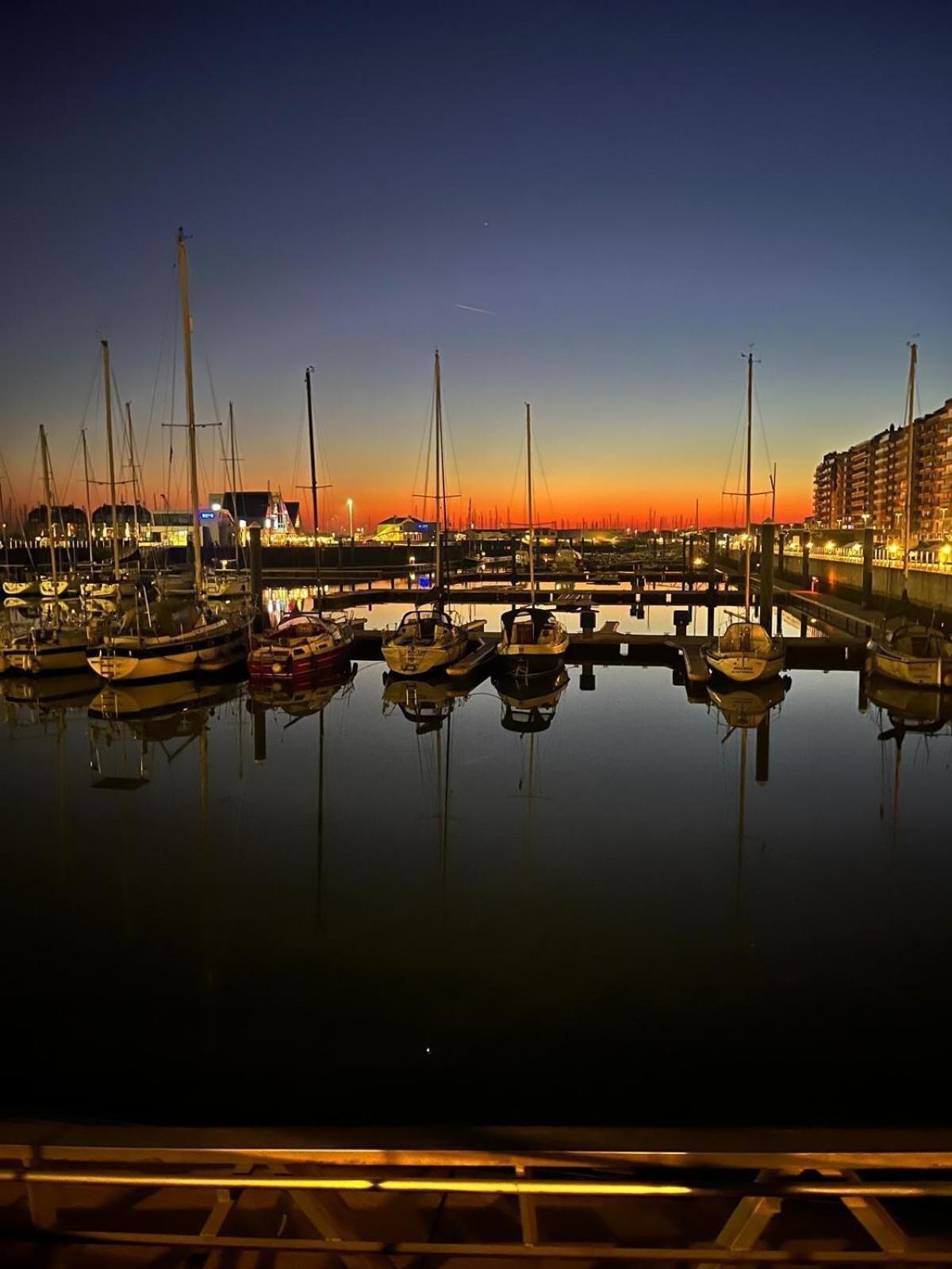 Harbor Bliss