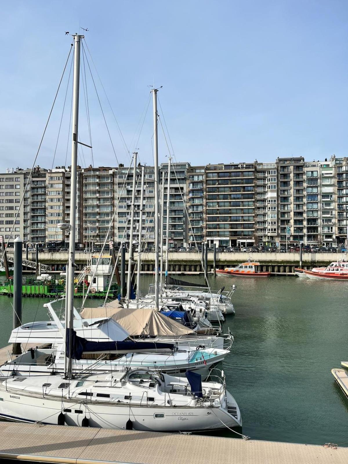 Harbor Bliss