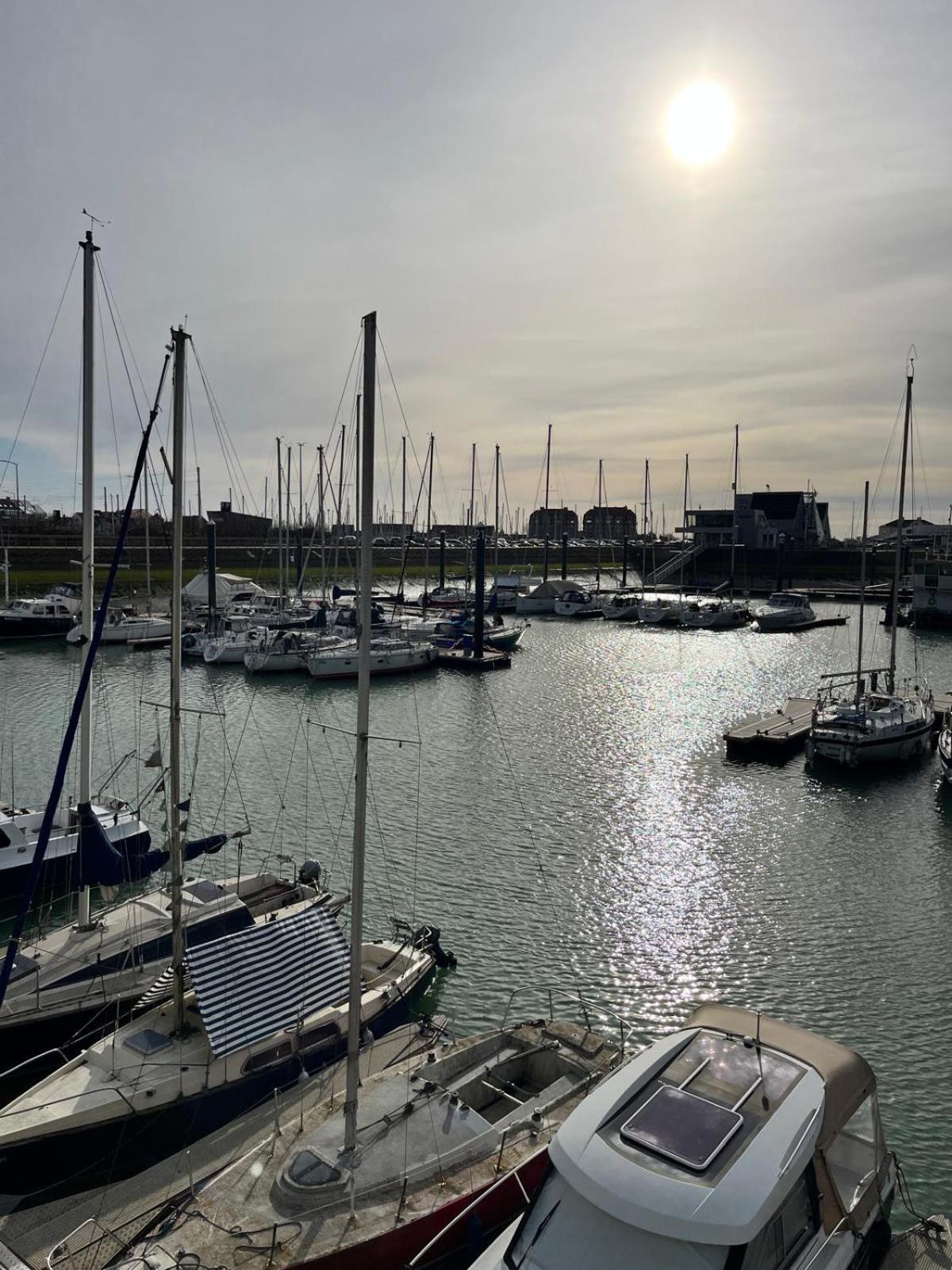 Harbor Bliss
